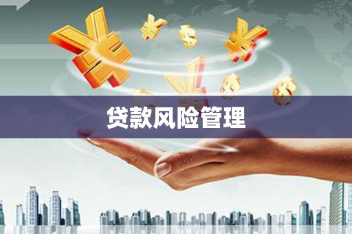 梨树县贷款风险管理
