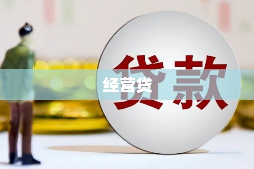梨树县经营贷