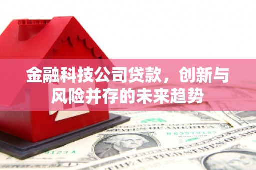 梨树县金融科技公司贷款，创新与风险并存的未来趋势