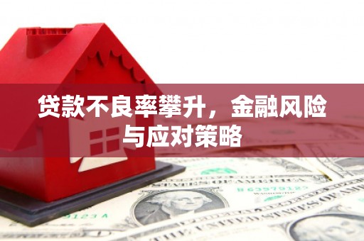 梨树县贷款不良率攀升，金融风险与应对策略