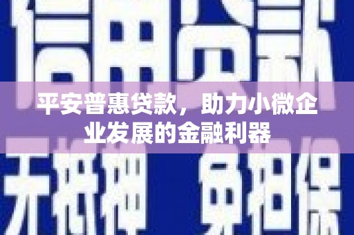梨树县平安普惠贷款，助力小微企业发展的金融利器