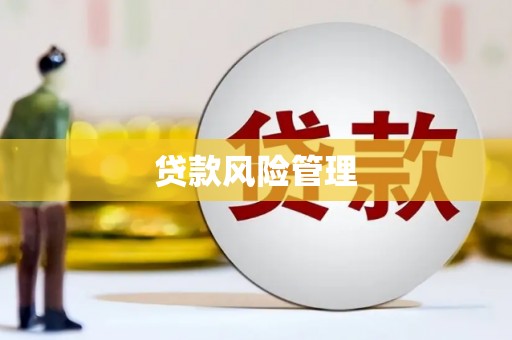 梨树县贷款风险管理