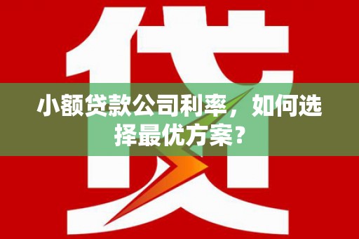 梨树县小额贷款公司利率，如何选择最优方案？