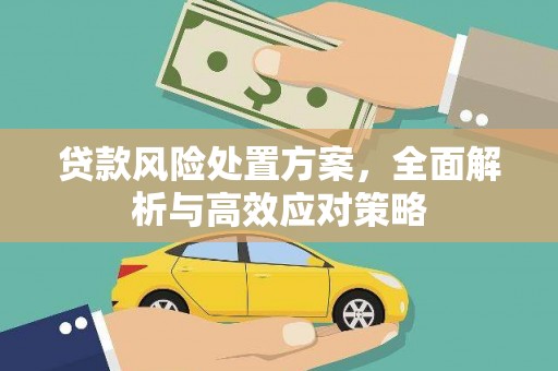 梨树县贷款风险处置方案，全面解析与高效应对策略