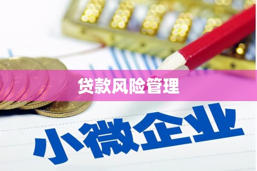 梨树县贷款风险管理
