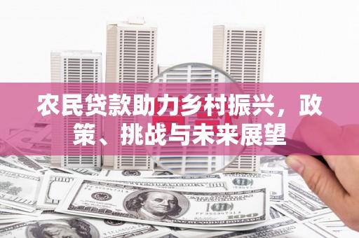 梨树县农民贷款助力乡村振兴，政策、挑战与未来展望