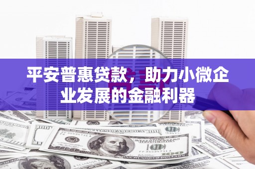 梨树县平安普惠贷款，助力小微企业发展的金融利器