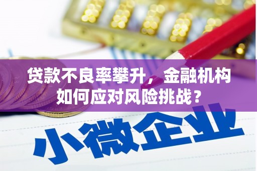 梨树县贷款不良率攀升，金融机构如何应对风险挑战？