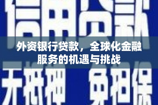 梨树县外资银行贷款，全球化金融服务的机遇与挑战