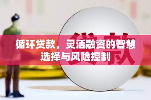 梨树县循环贷款，灵活融资的智慧选择与风险控制