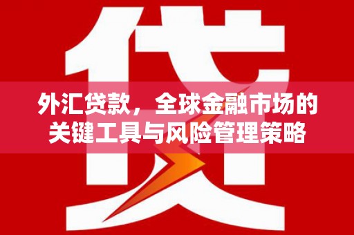 梨树县外汇贷款，全球金融市场的关键工具与风险管理策略