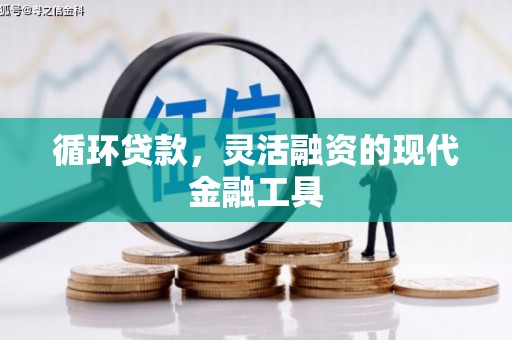 梨树县循环贷款，灵活融资的现代金融工具