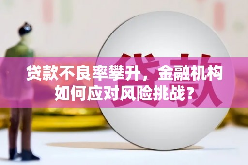 梨树县贷款不良率攀升，金融机构如何应对风险挑战？