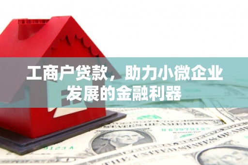 梨树县工商户贷款，助力小微企业发展的金融利器