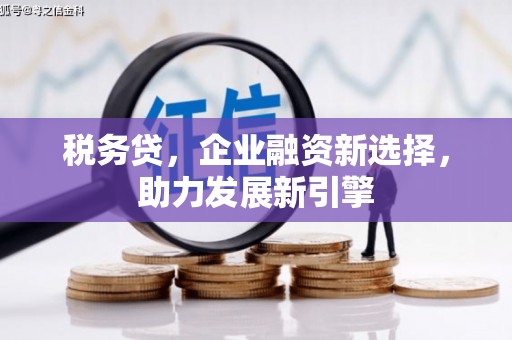 梨树县税务贷，企业融资新选择，助力发展新引擎