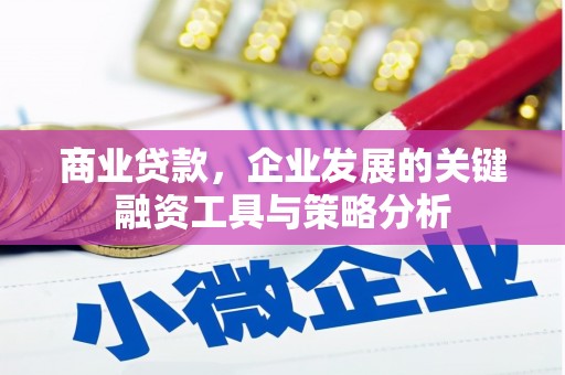 梨树县商业贷款，企业发展的关键融资工具与策略分析