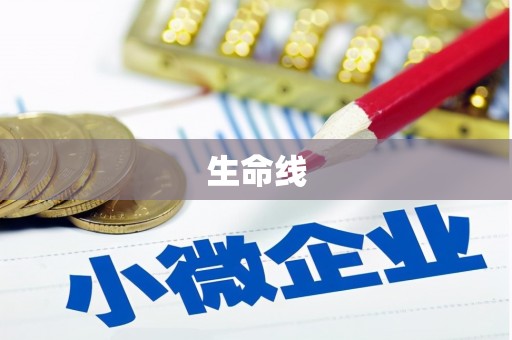 梨树县生命线
