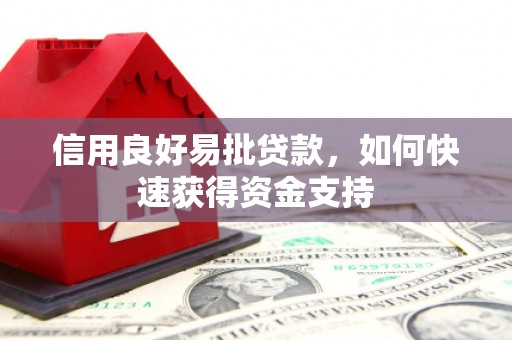 梨树县信用良好易批贷款，如何快速获得资金支持