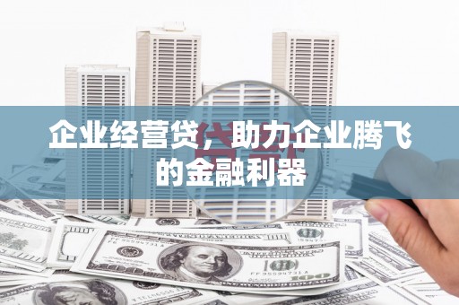 梨树县企业经营贷，助力企业腾飞的金融利器