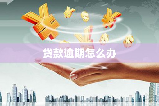 梨树县贷款逾期怎么办
