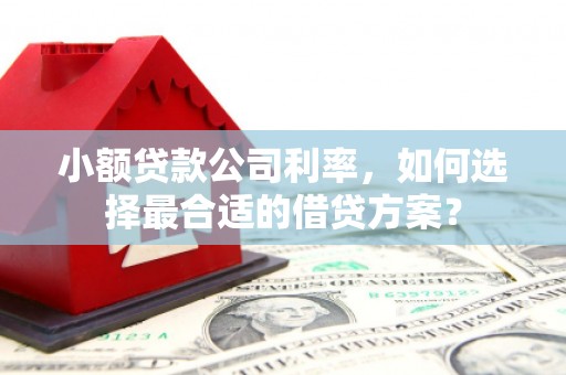 梨树县小额贷款公司利率，如何选择最合适的借贷方案？