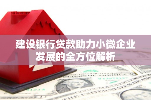 梨树县建设银行贷款助力小微企业发展的全方位解析