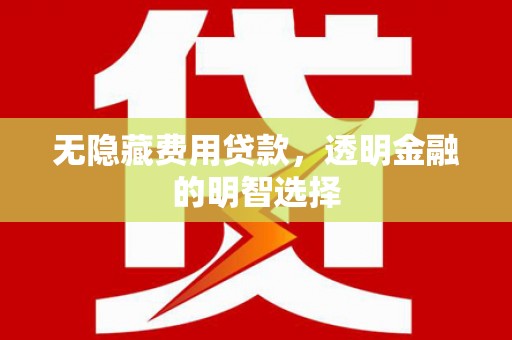梨树县无隐藏费用贷款，透明金融的明智选择