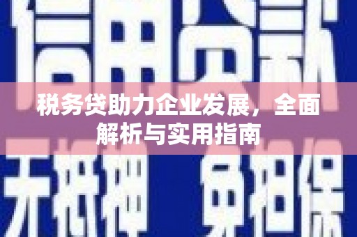 梨树县税务贷助力企业发展，全面解析与实用指南