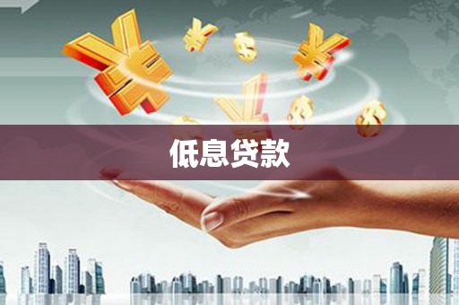 梨树县低息贷款