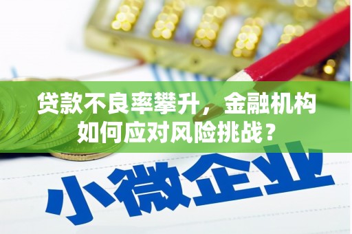 梨树县贷款不良率攀升，金融机构如何应对风险挑战？