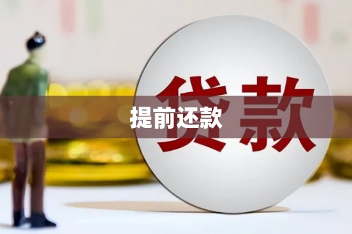 梨树县提前还款