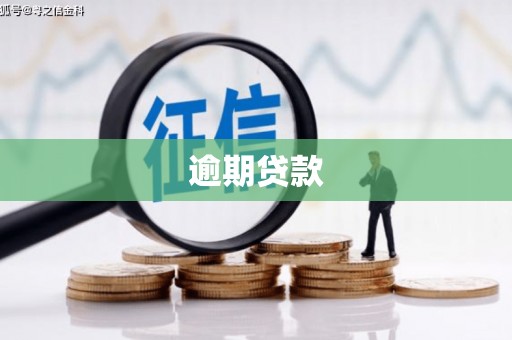 梨树县逾期贷款