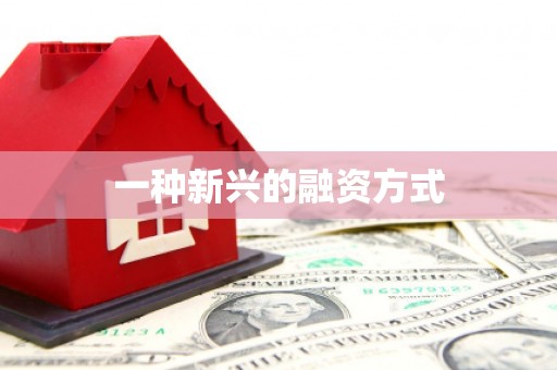 梨树县一种新兴的融资方式