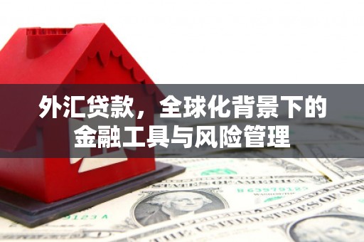梨树县外汇贷款，全球化背景下的金融工具与风险管理