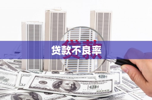 梨树县贷款不良率